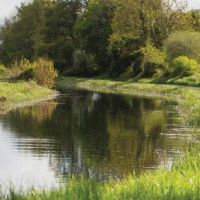 Royal Canal Walkway