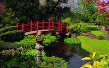 Japanese Gardens