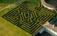 Kildare Maze