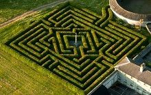 Kildare Maze