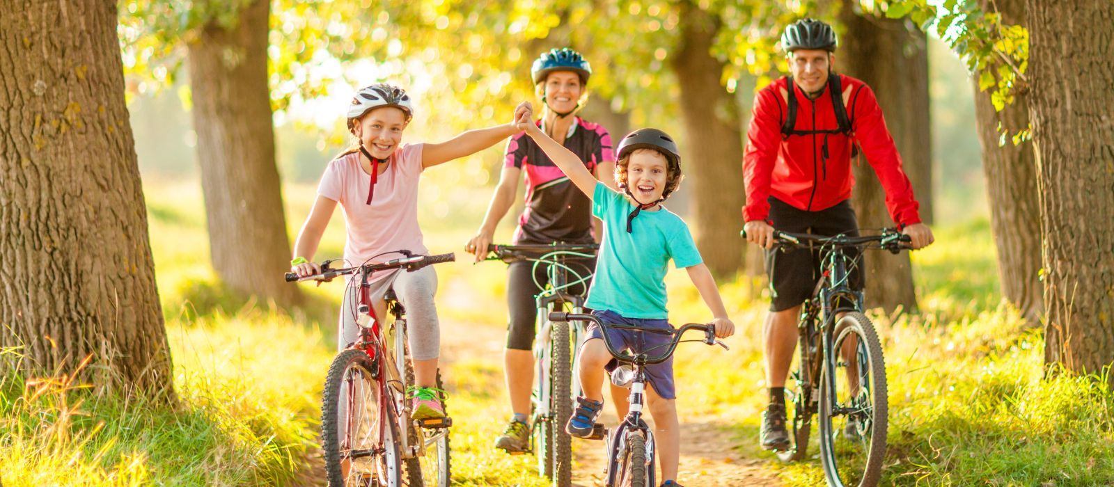 family cycle