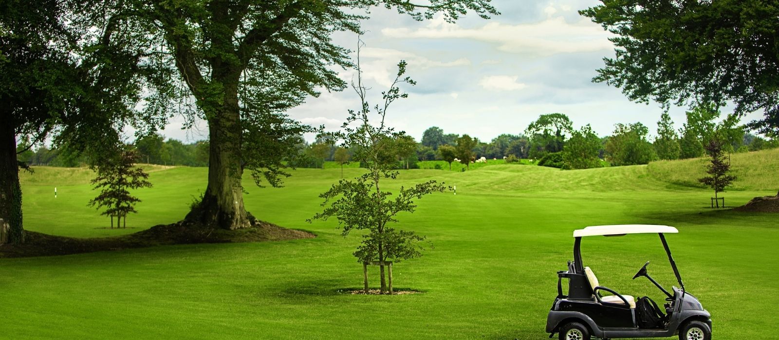 Knightsbrook golf