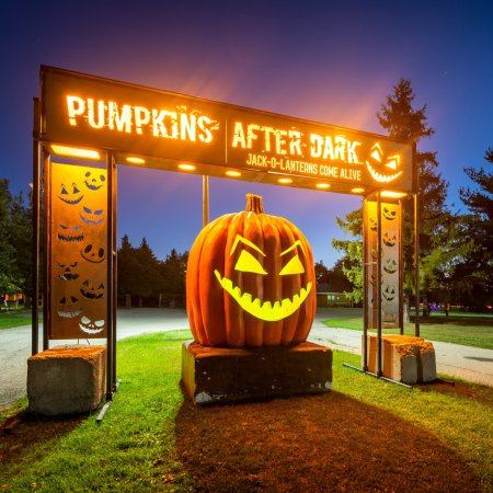 Pumpkin After Dark