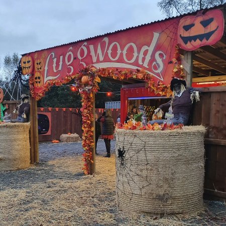 Luggwoods Halloween