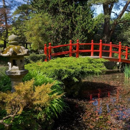 Japanese Stud & Gardens