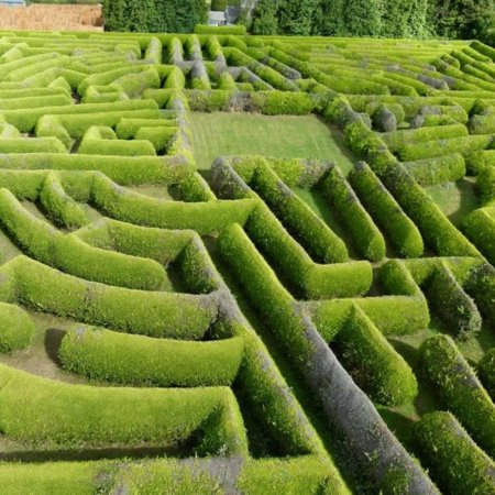 Kildare Maze